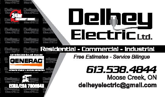 About Delhey Electric LTD